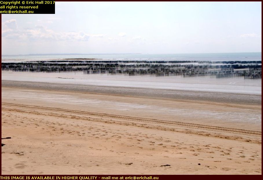 oyster beds coudeville plage manche normandy france