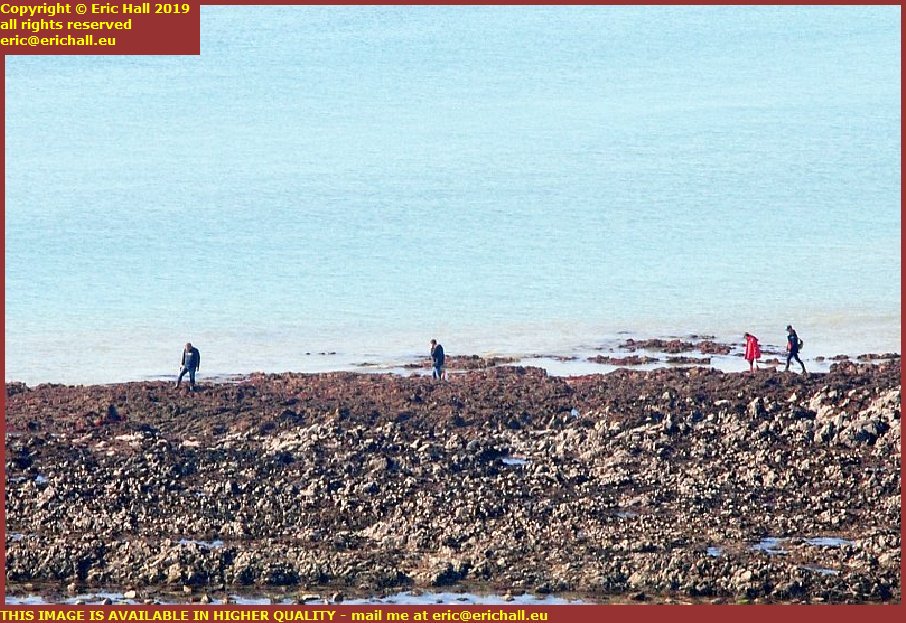 peche a pied granville manche normandy france