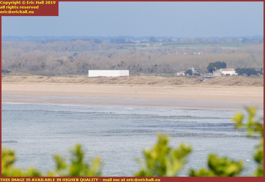 mussels beds airfield donville les bains granville manche normandy france