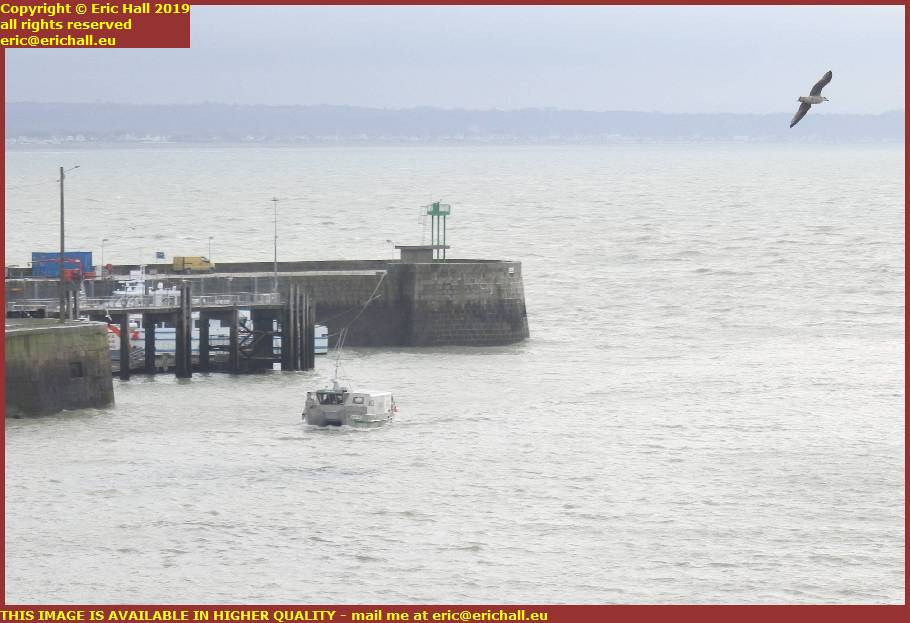 trawler seagull photobomb port de granville harbour manche normandy france