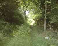 les guis virlet pionsat france renewable energy