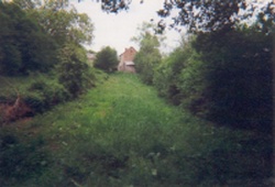the slope and the fruit trees