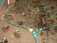 Les Guis Virlet Pionsat France Renewable Energy inside the greenhouse