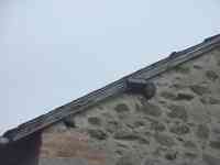 Les Guis Virlet Pionsat France Renewable Energy solar panel