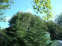 Les Guis Virlet Pionsat France Renewable Energy tall conifer solar panel on Ford transit Luton body