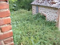 Les Guis Virlet Pionsat France Renewable Energy overgrown communal path
