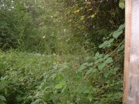 Les Guis Virlet Pionsat France Renewable Energy more view of the orchard