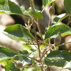 les guis virlet puy de dome france stand alone renewable energy farm solar panels wind turbines copyright free photo royalty free photo