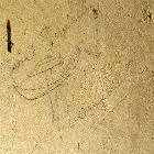 hammer and sickle communist emblem les guis virlet puy de dome france stand alone renewable energy farm solar panels wind turbines copyright free photo royalty free photo