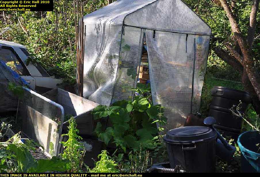 gherkin plant greenhouse les guis virlet puy de dome france
